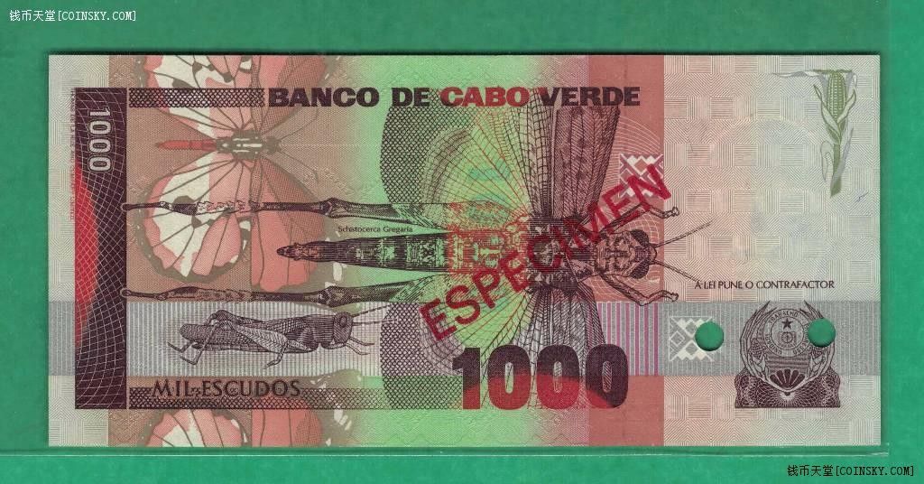 佛得角1989年1000埃斯库多 票样 样钞 样票 GT000000号 非洲纸币 实物图 UNC 