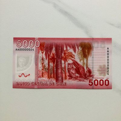 53rd ￥￥ 美洲的塑料钞和纸钞（靓号和首发冠，获奖钞等） - 智利2012年5000比索塑料钞，AA首发冠+小号（AA00000024），市场价1800+