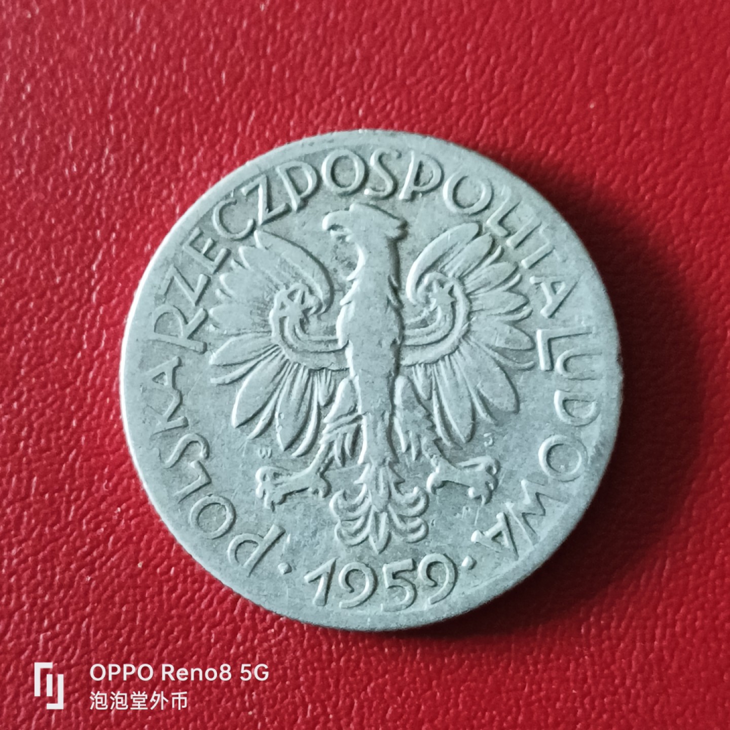 泡泡堂微拍第二十幕精品硬币捡漏专场👿👿，零佣金，零押金，满二十元包邮 波兰59年5zt