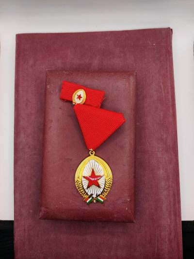 全场0元起拍 第11期 咸鱼国勋章拍卖专场 11月6日（周日）下午6：00开始 - 匈牙利金级劳动勋章 带证