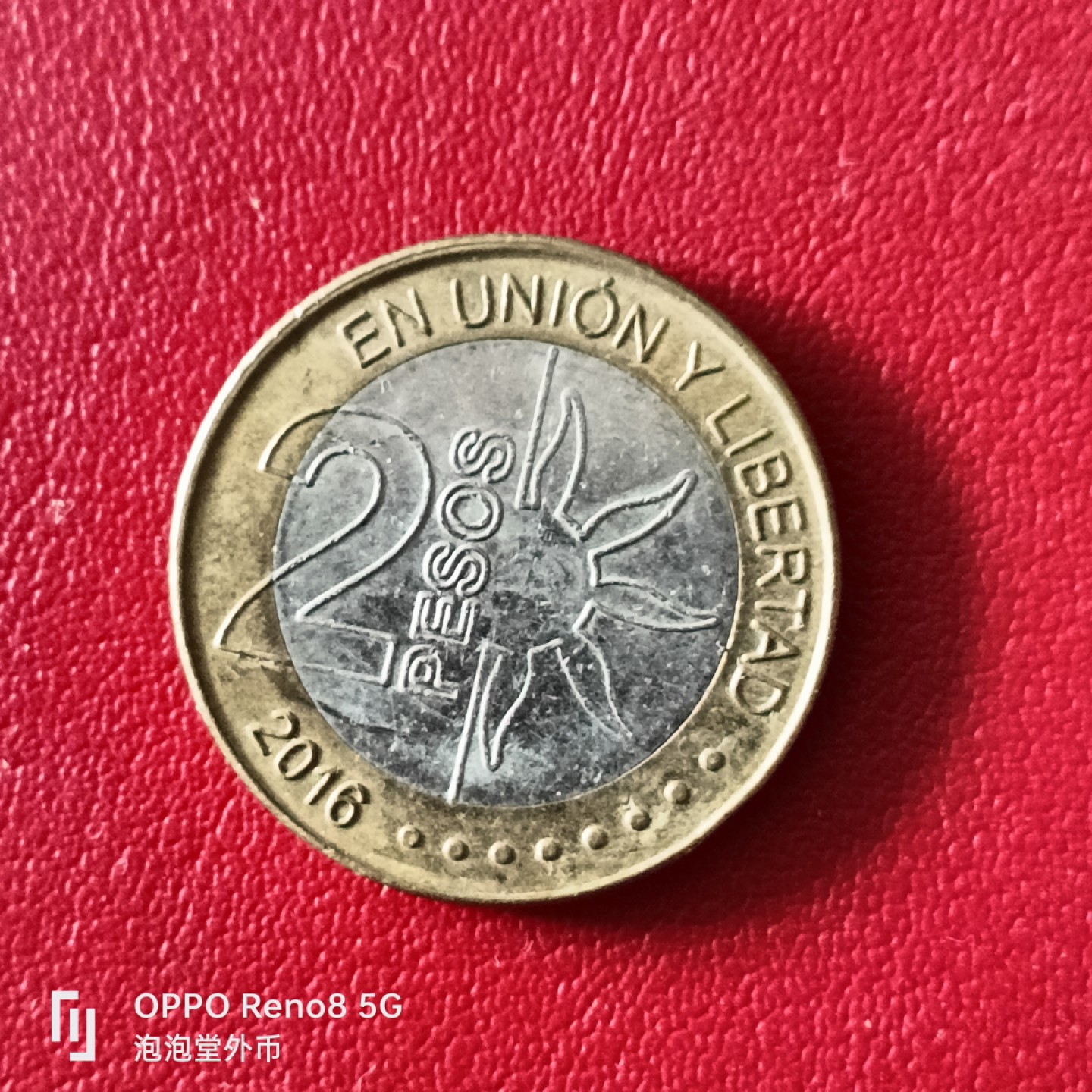 泡泡堂微拍第二十幕精品硬币捡漏专场👿👿，零佣金，零押金，满二十元包邮 阿根廷二皮所纪念币。