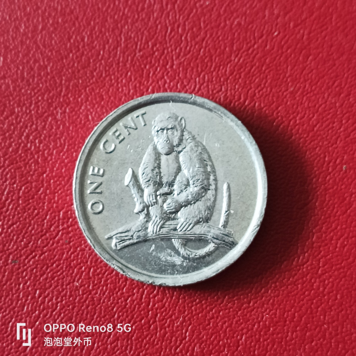 泡泡堂微拍第二十幕精品硬币捡漏专场👿👿，零佣金，零押金，满二十元包邮 库克岛猴