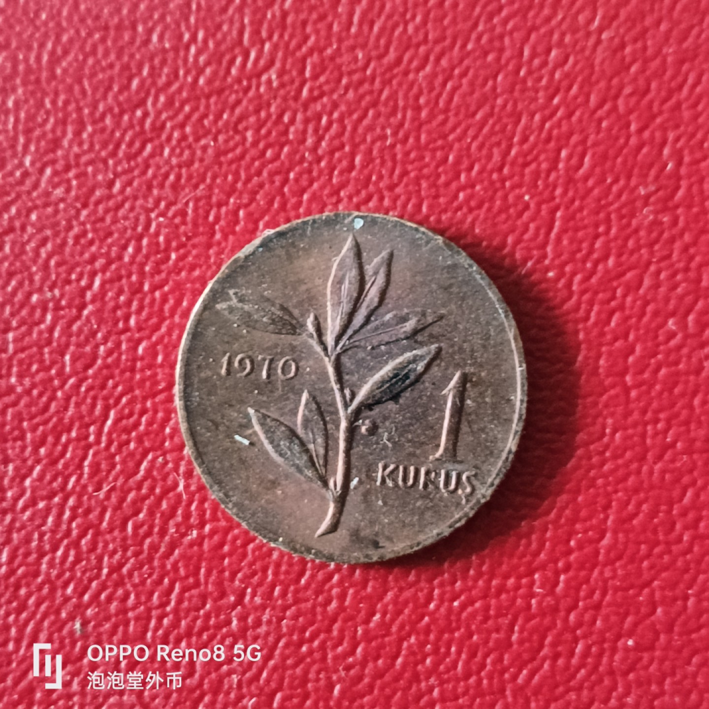 泡泡堂微拍第二十幕精品硬币捡漏专场👿👿，零佣金，零押金，满二十元包邮 土耳其70年一分。