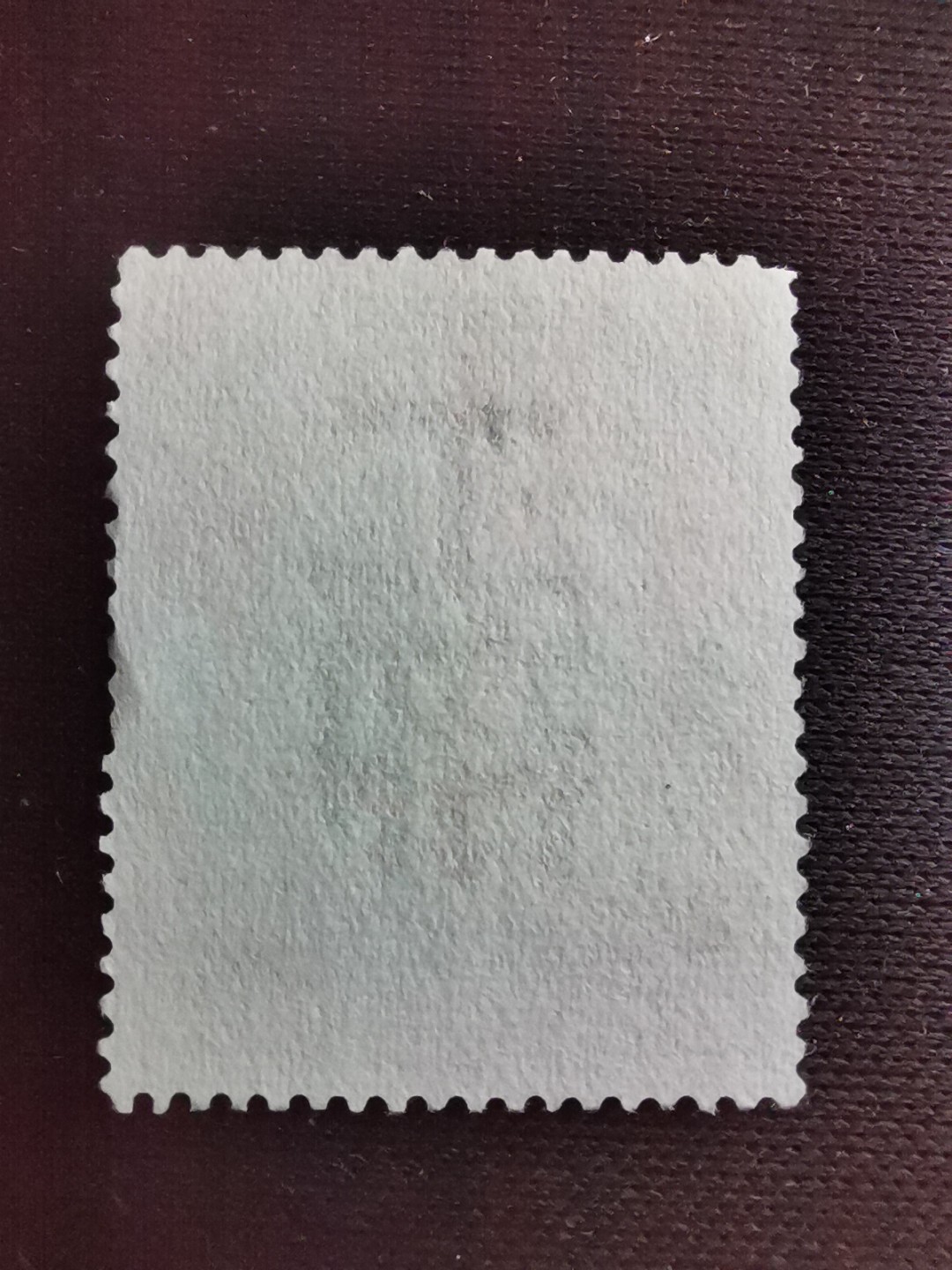 洪涛臻品 精选邮票限时拍卖第七十七期 比大清龙票还早的邮票，上海开埠50周年1843-1893，1枚全，银2分新，面艳背白品好，水印清晰漂亮！终身保真！放心入手保真清朝时期文物邮票的机会！