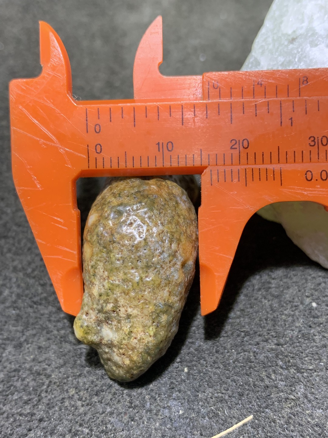 精美戈壁阿拉善筋脉石象形猪蹄原石一颗，