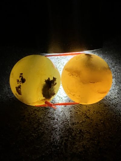 天然阜新黄金水草玛瑙腰珠一对 天然阜新黄金水草玛瑙腰珠一对