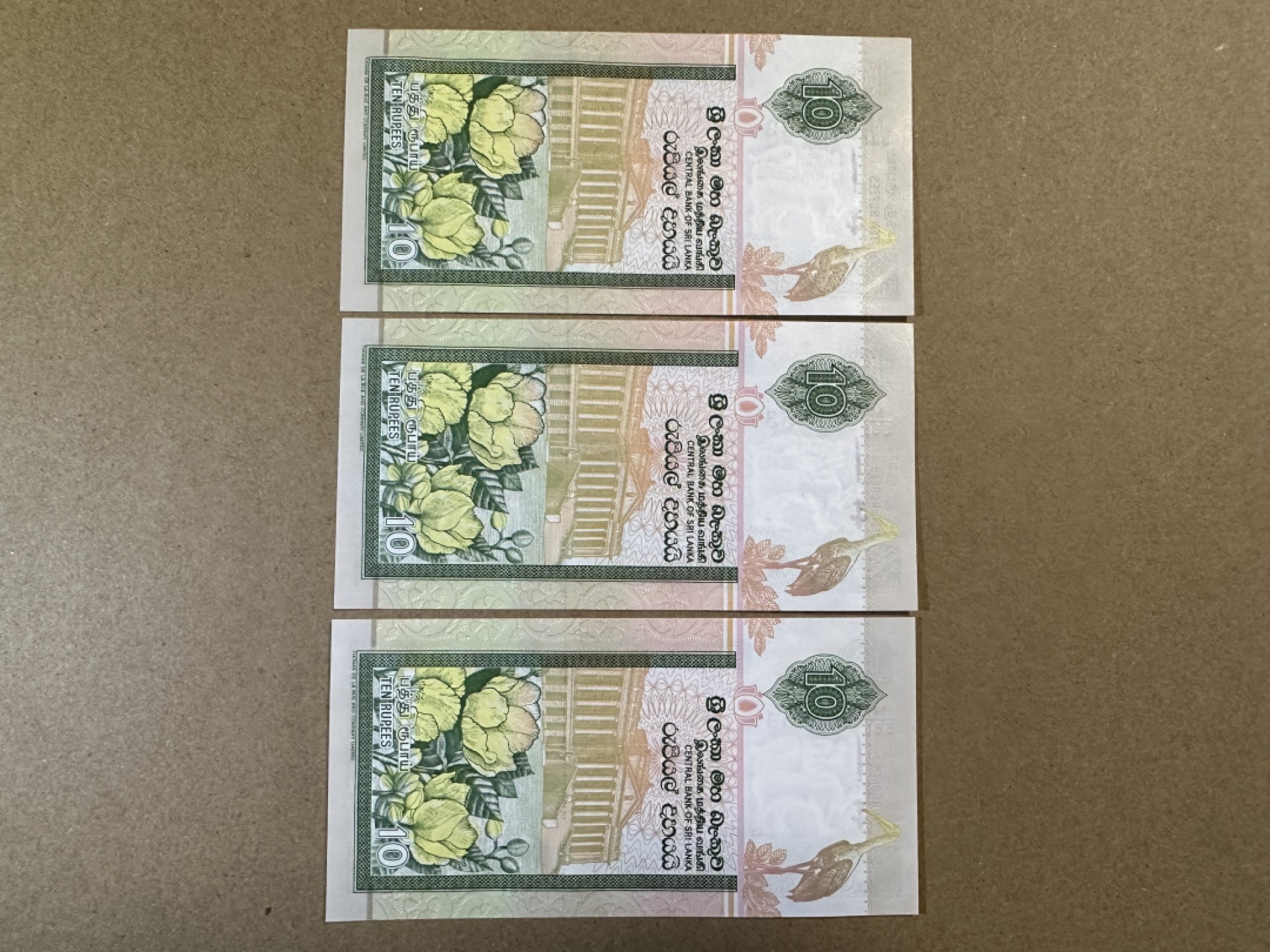 《张总收藏》78期——女王精品 斯里兰卡10卢比连号3张 UNC 2006年