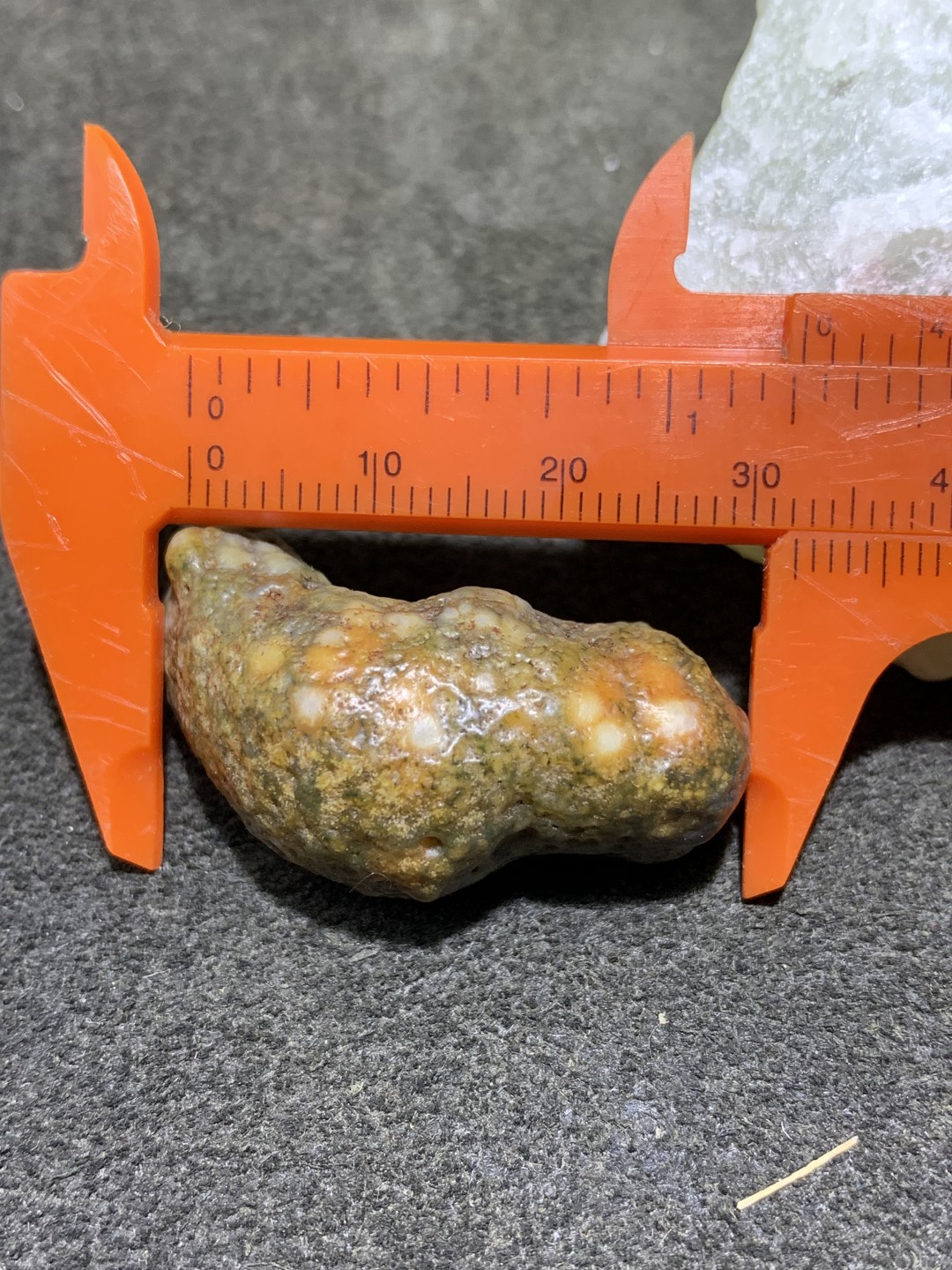 精美戈壁阿拉善筋脉石象形猪蹄原石一颗，