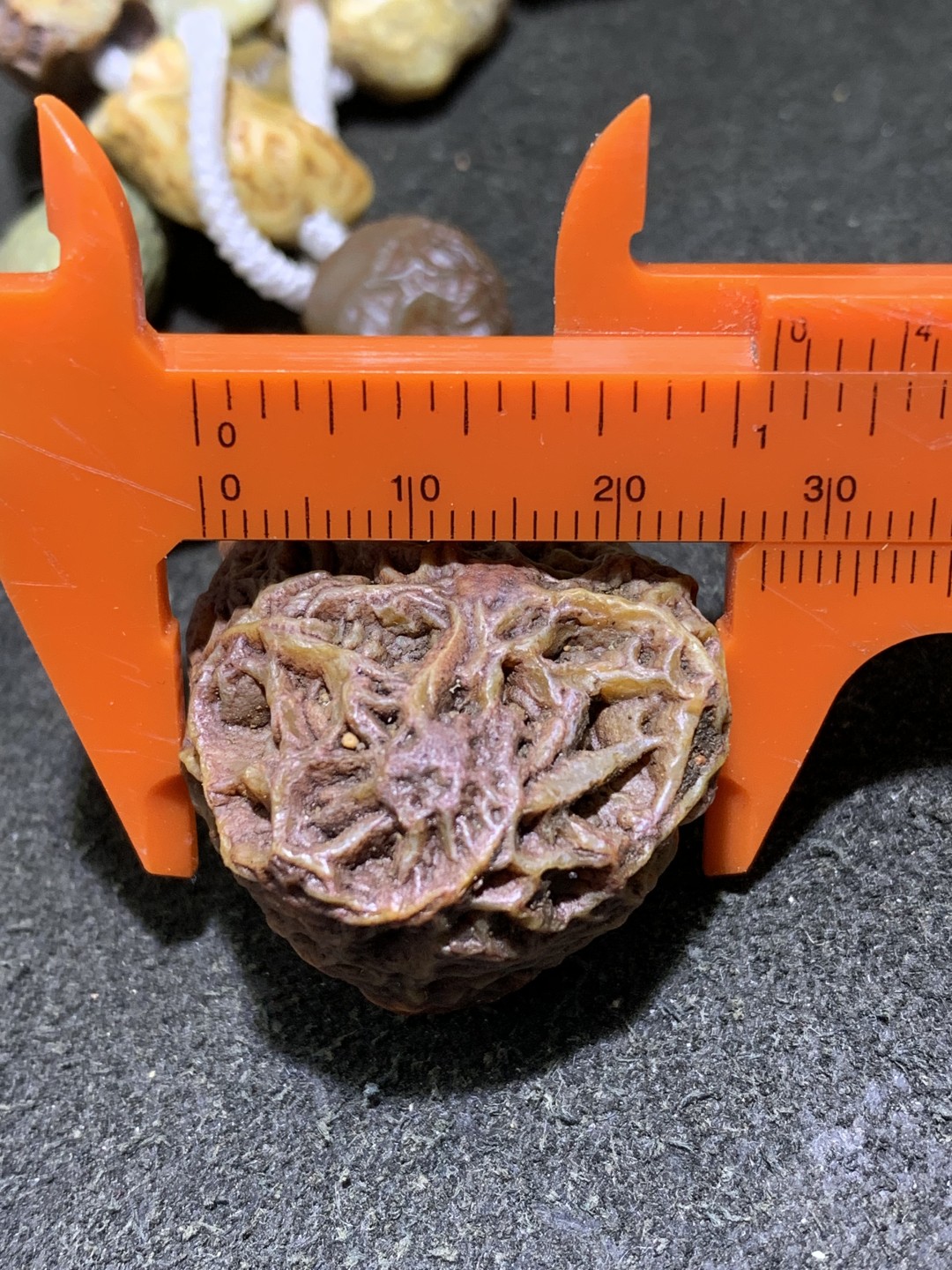 精美阿拉善戈壁多彩筋脉原石大颗粒吊坠项链一条，