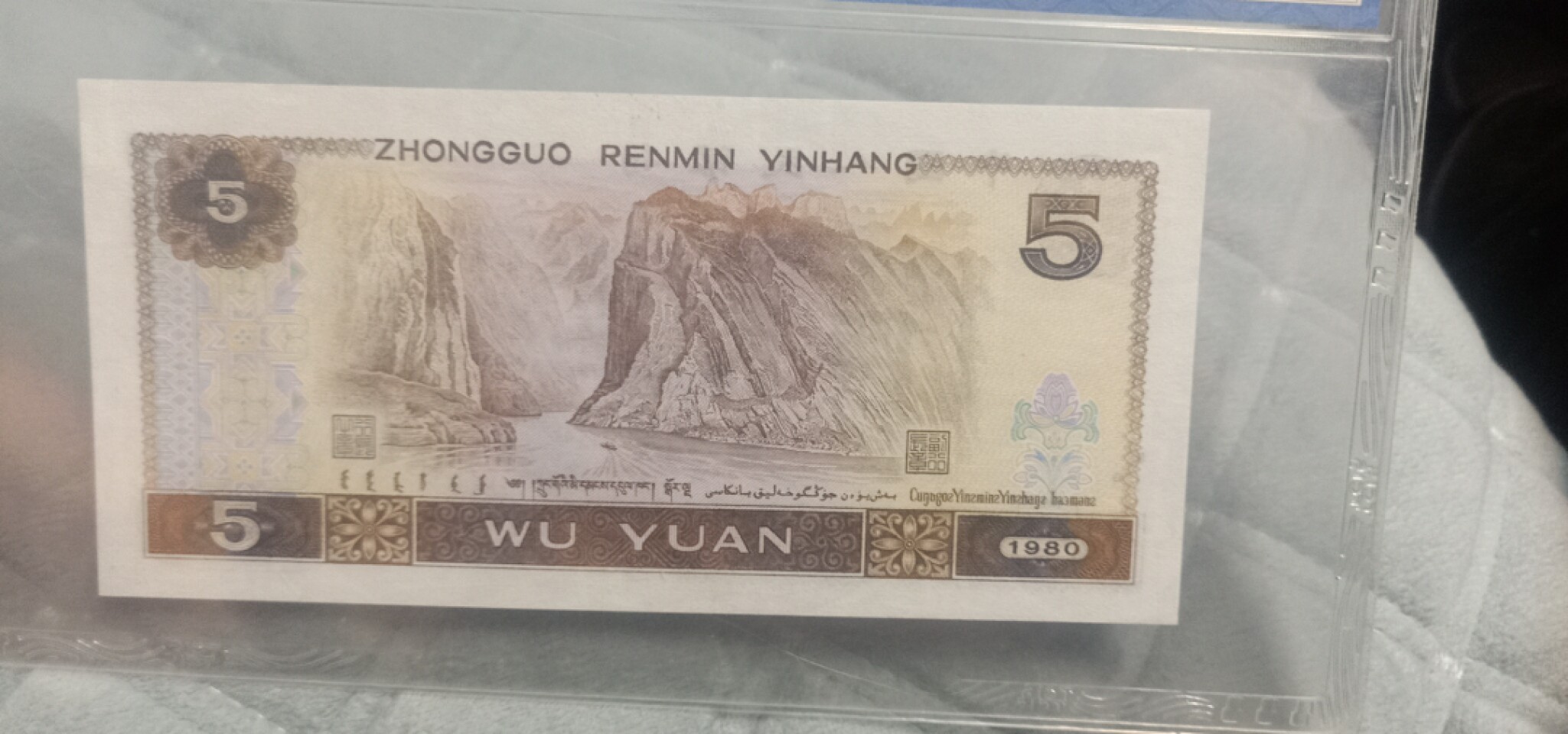 小英开心拍第618期 805五彩苍松翠鹤一张，天印评级权威认证