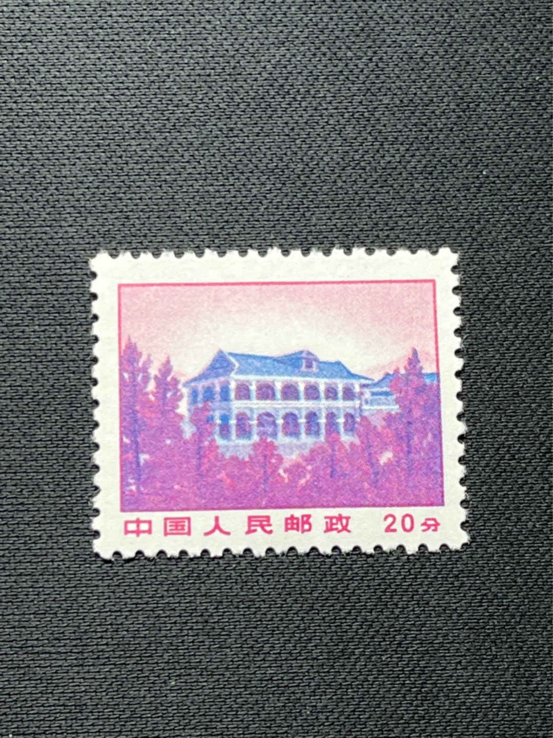 洪涛臻品 精选邮票限时拍卖第七十七期 普无号✦总筋✦遵义  版撕全品嘎嘎绝，无任何瑕疵，全品可评级，包OG，喜欢不要错过