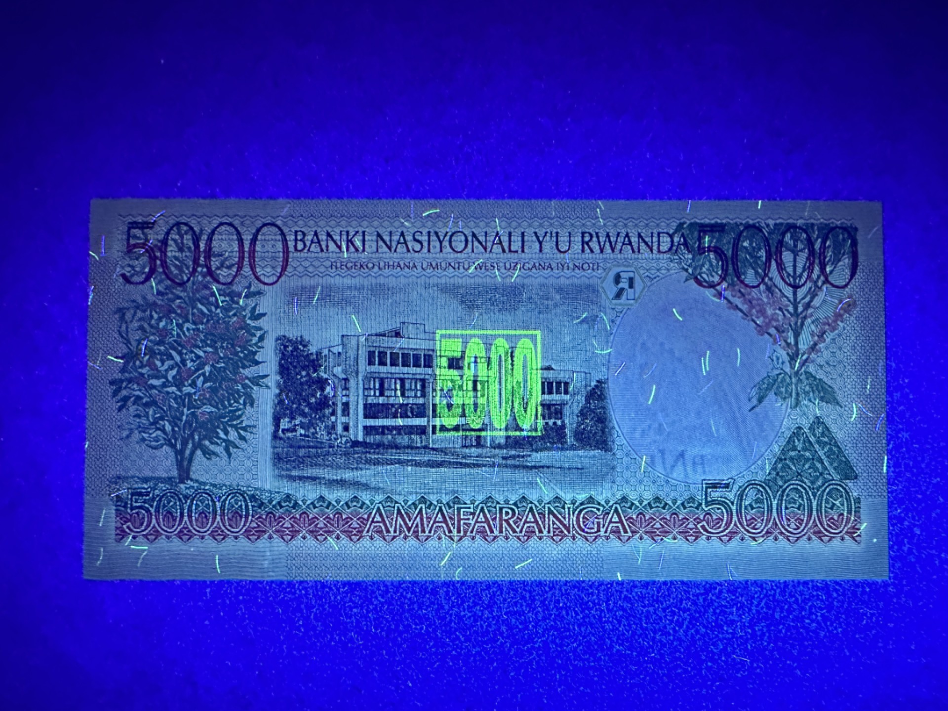 《张总收藏》78期——女王精品 卢旺达5000法郎 UNC 1998年版