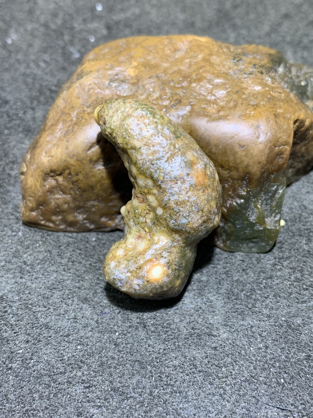 精美戈壁阿拉善筋脉石象形猪蹄原石一颗，