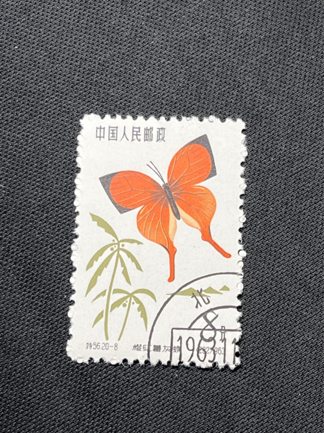 洪涛臻品 精选邮票限时拍卖第七十二期 特56蝴蝶盖销  钢戳，全品 20-8一枚★六珍三俗稀缺货★版撕全品嘎嘎绝，钢戳，面艳胶白，六珍之一，非常受欢迎的品种，新票价格高，盖销全品不要错过 