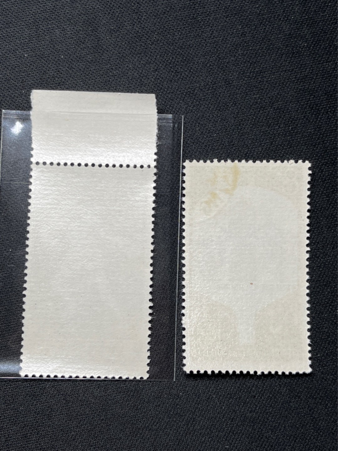 洪涛臻品 精选邮票限时拍卖第七十二期 纪99世乒赛盖全，一枚数字边，白胶润泽，老纪特经典票，新票价格高。盖销首选，注意捡漏