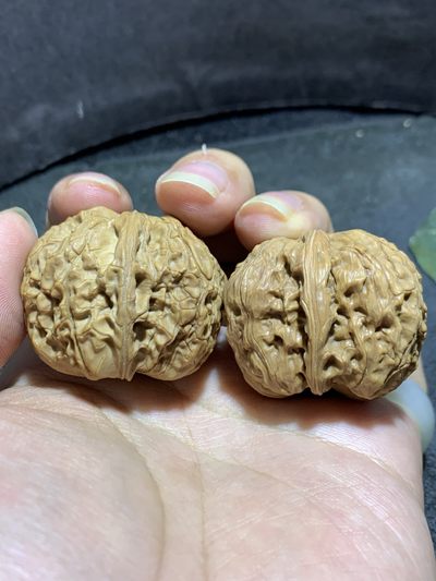 仅此一对，野生小众窝底狮子头文玩核桃麻核桃一对！ - 仅此一对，野生小众窝底狮子头文玩核桃麻核桃一对！