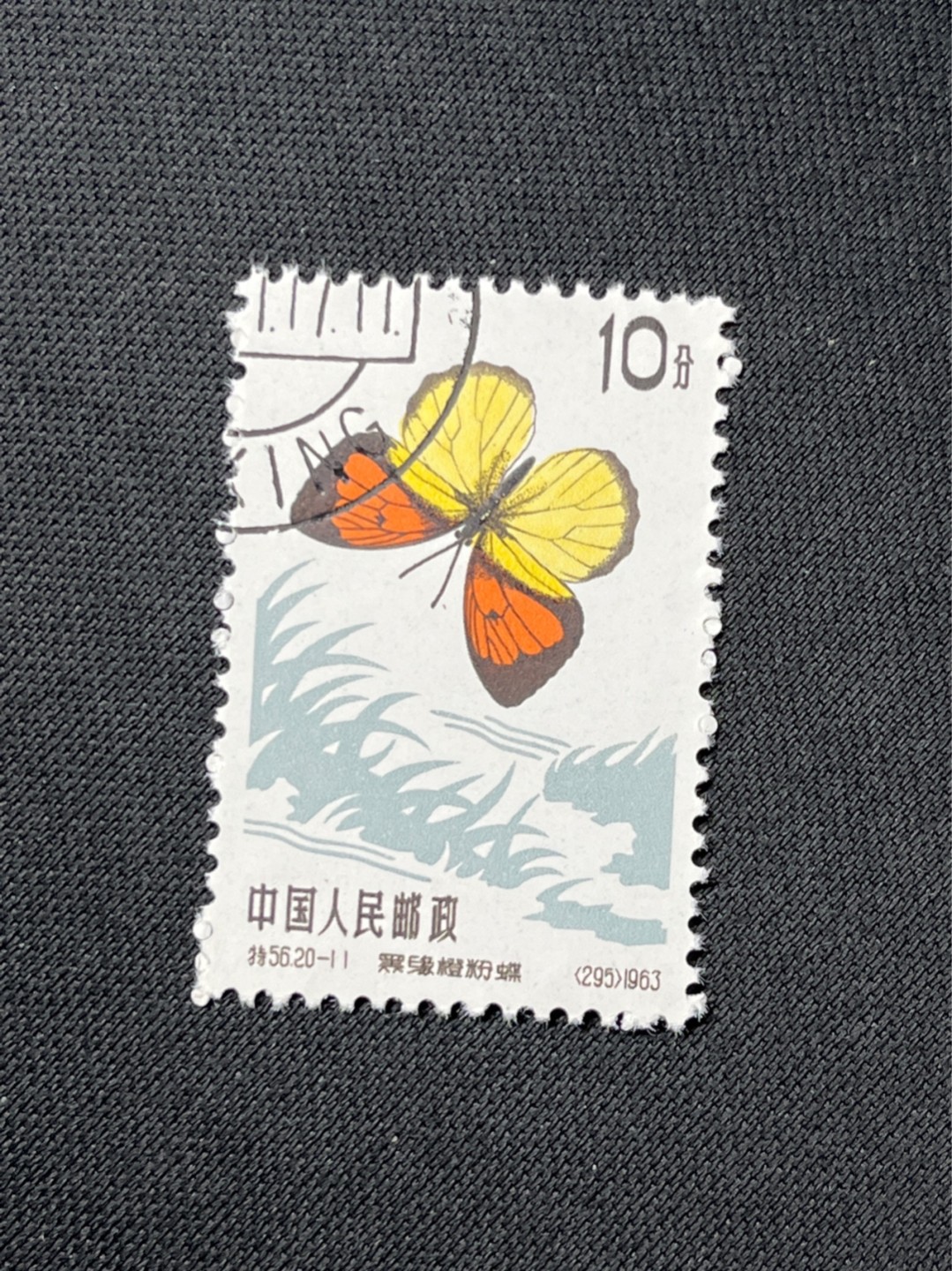 洪涛臻品 精选邮票限时拍卖第七十二期 特56蝴蝶盖销  钢戳，全品 20-11一枚★六珍三俗稀缺货★版撕全品嘎嘎绝，钢戳，面艳胶白，六珍之一，非常受欢迎的品种，新票价格高，盖销全品不要错过 