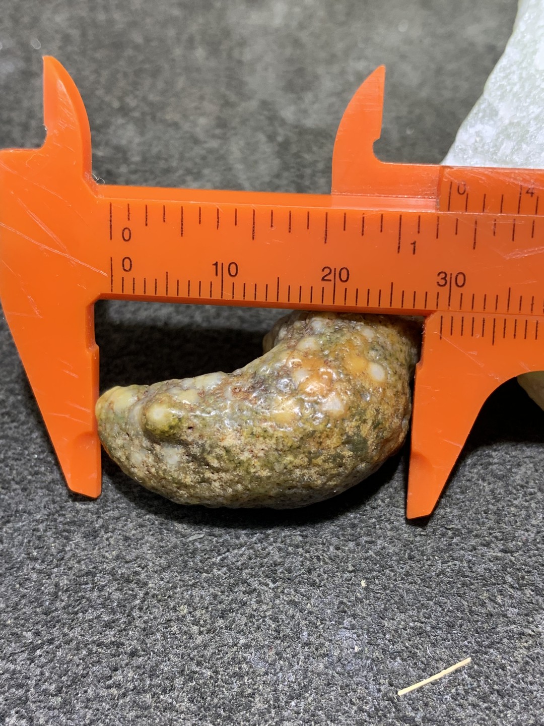 精美戈壁阿拉善筋脉石象形猪蹄原石一颗，