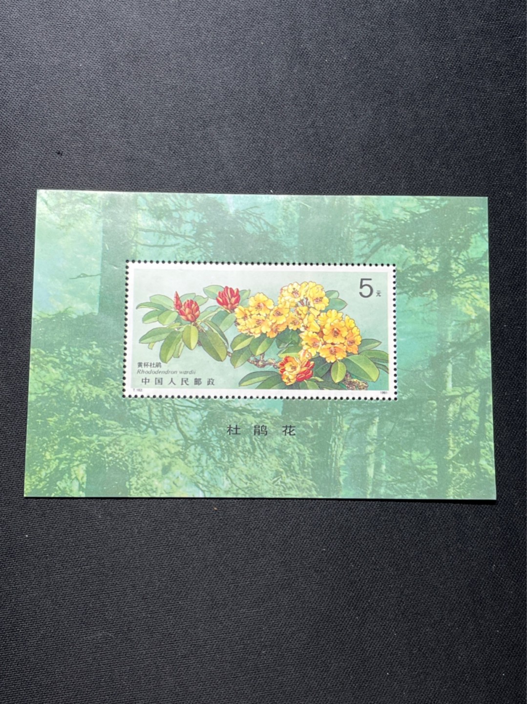 洪涛臻品 精选邮票限时拍卖第七十二期 T162杜鹃花新   上品一枚，折痕，软折