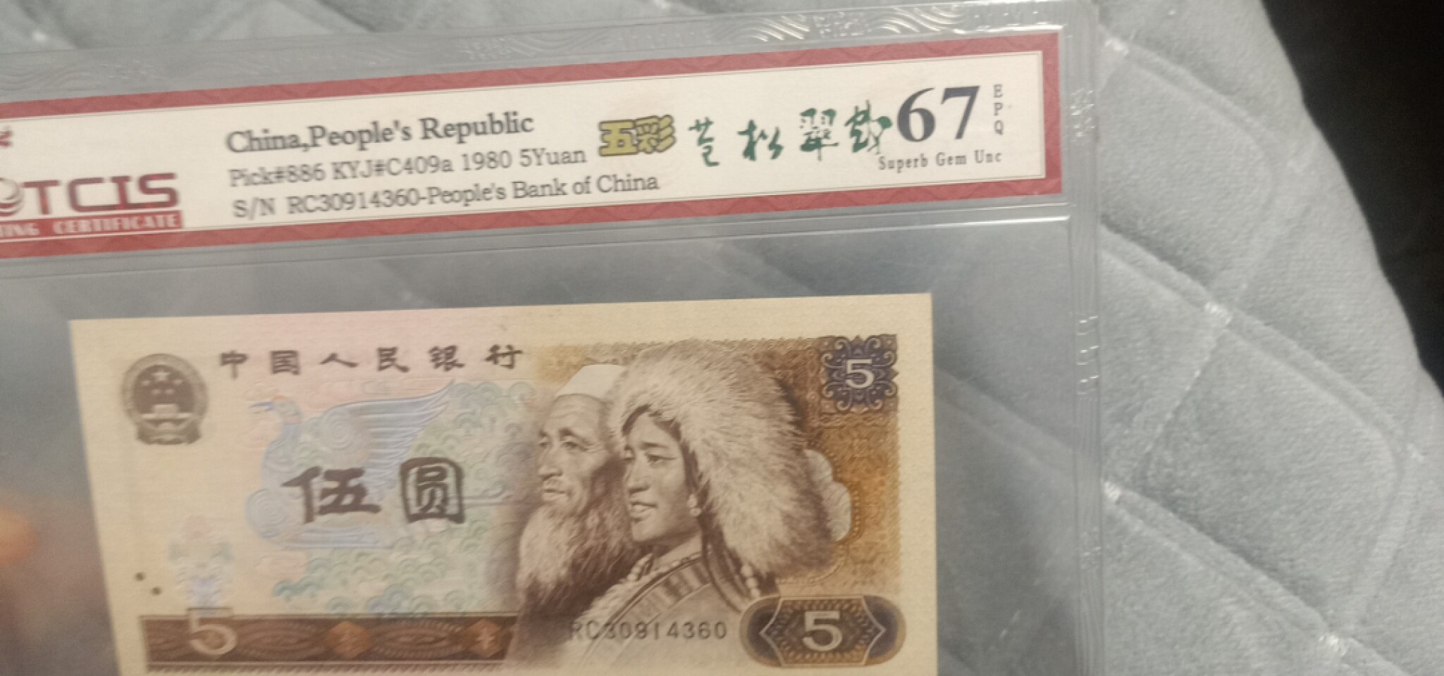 小英开心拍第618期 805五彩苍松翠鹤一张，天印评级权威认证