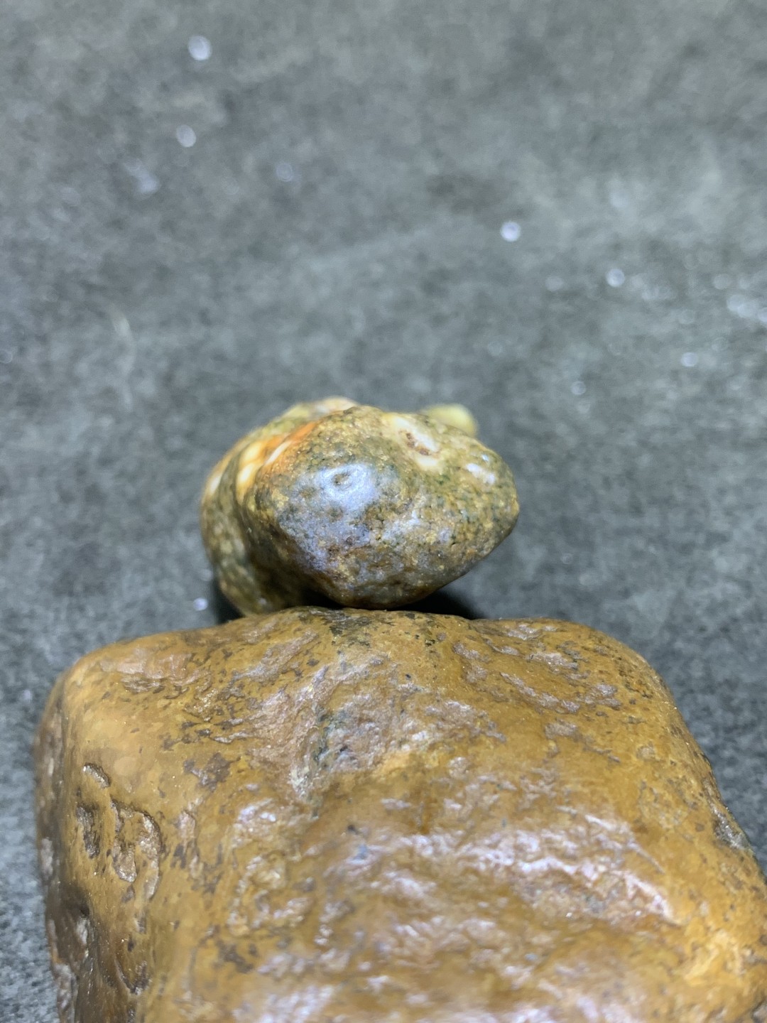 精美戈壁阿拉善筋脉石象形猪蹄原石一颗，