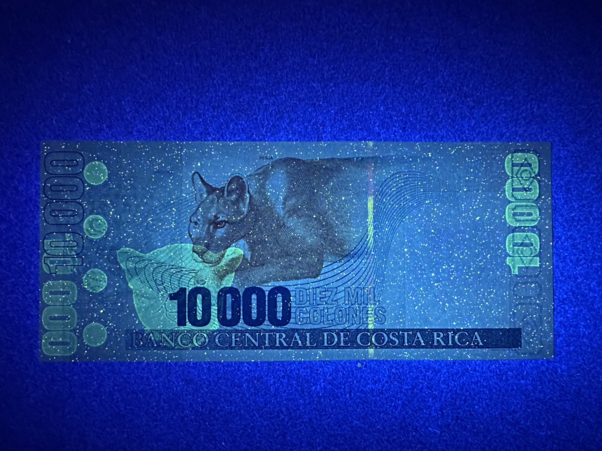 《张总收藏》78期——女王精品 哥斯达黎加10000元 UNC 2002年版