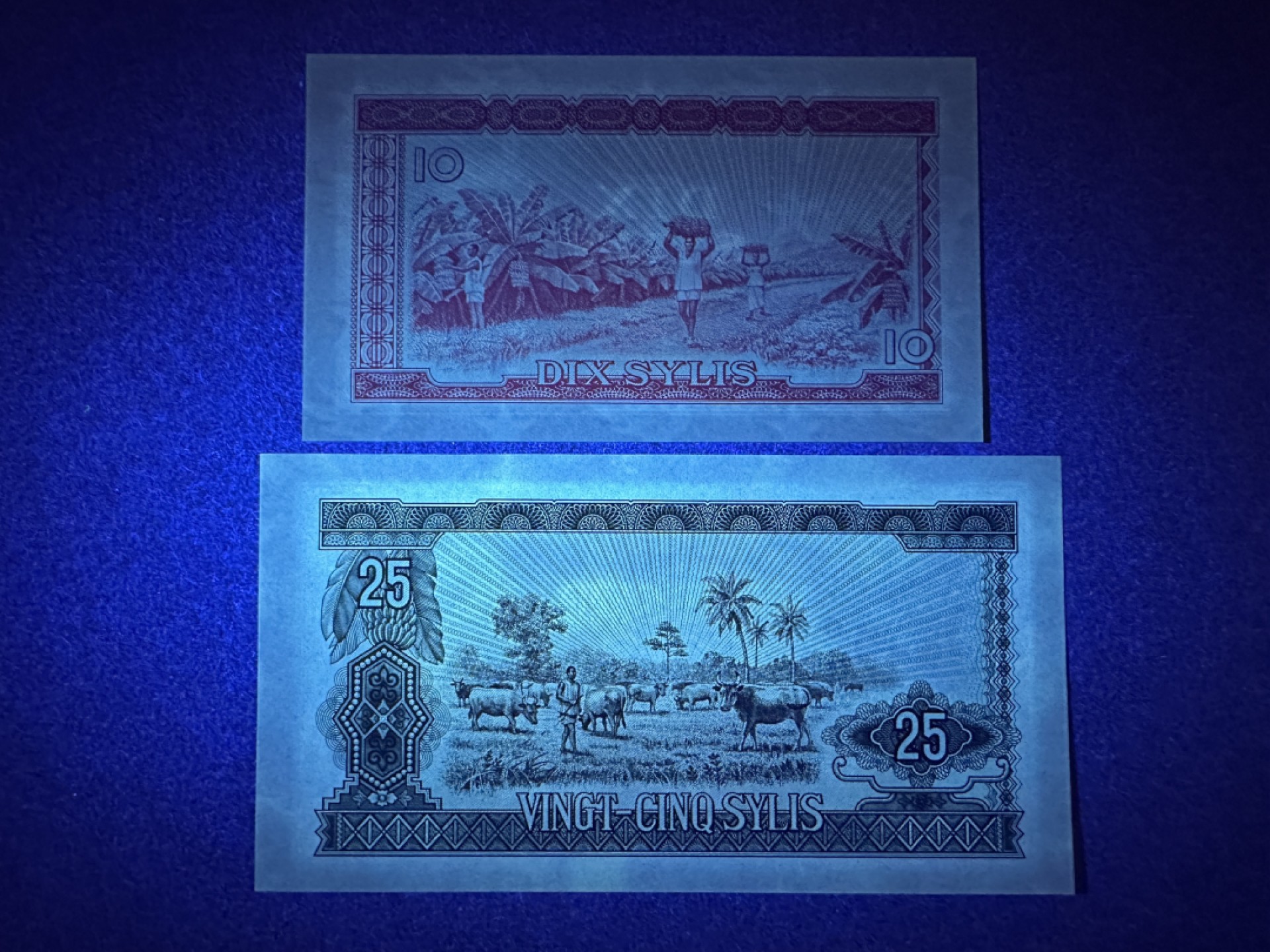 《张总收藏》78期——女王精品 几内亚10、25元2张 UNC 1980年