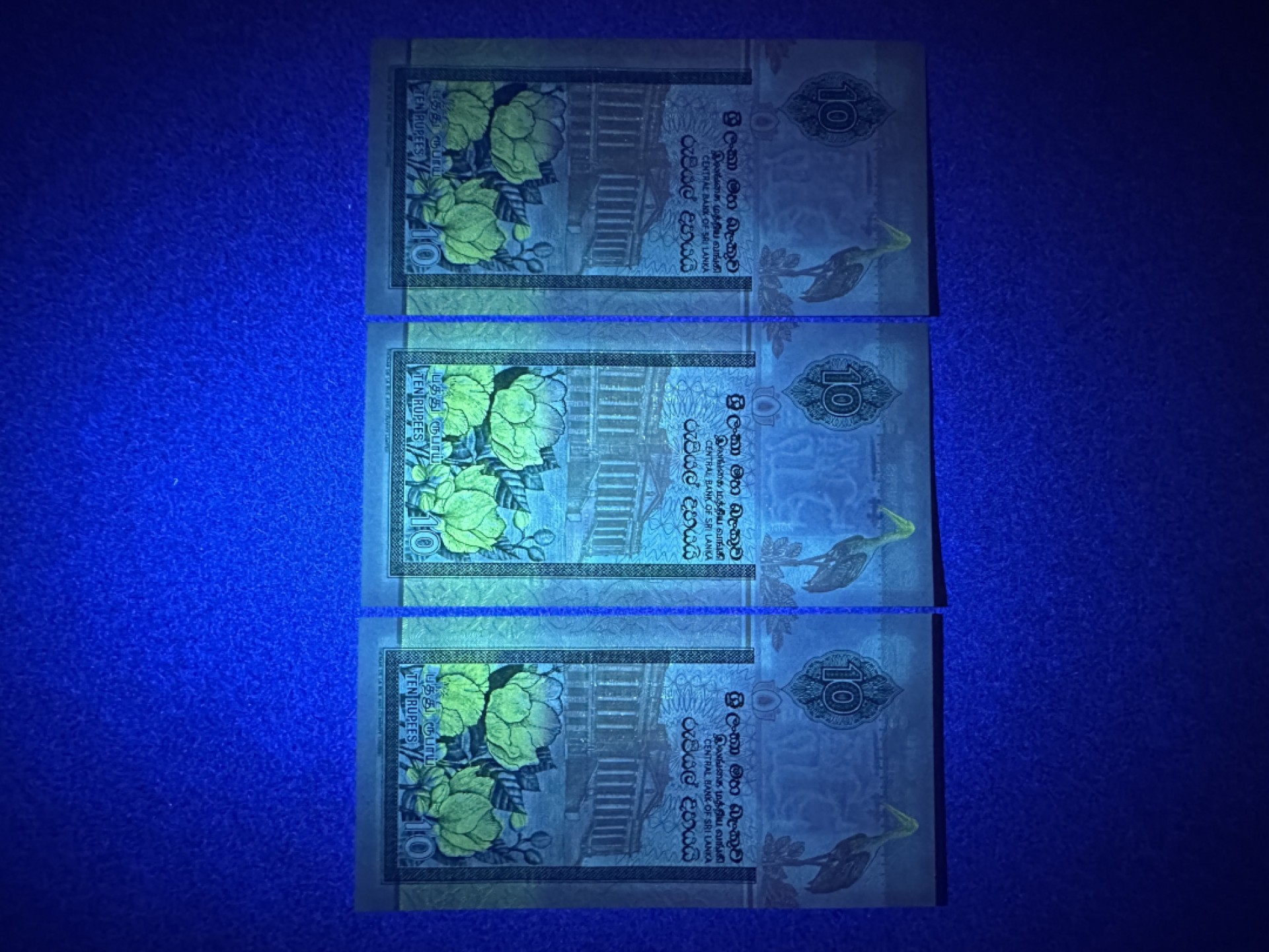 《张总收藏》78期——女王精品 斯里兰卡10卢比连号3张 UNC 2006年