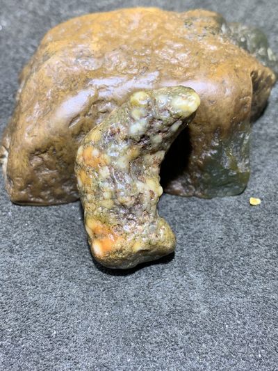精美戈壁阿拉善筋脉石象形猪蹄原石一颗， - 精美戈壁阿拉善筋脉石象形猪蹄原石一颗，