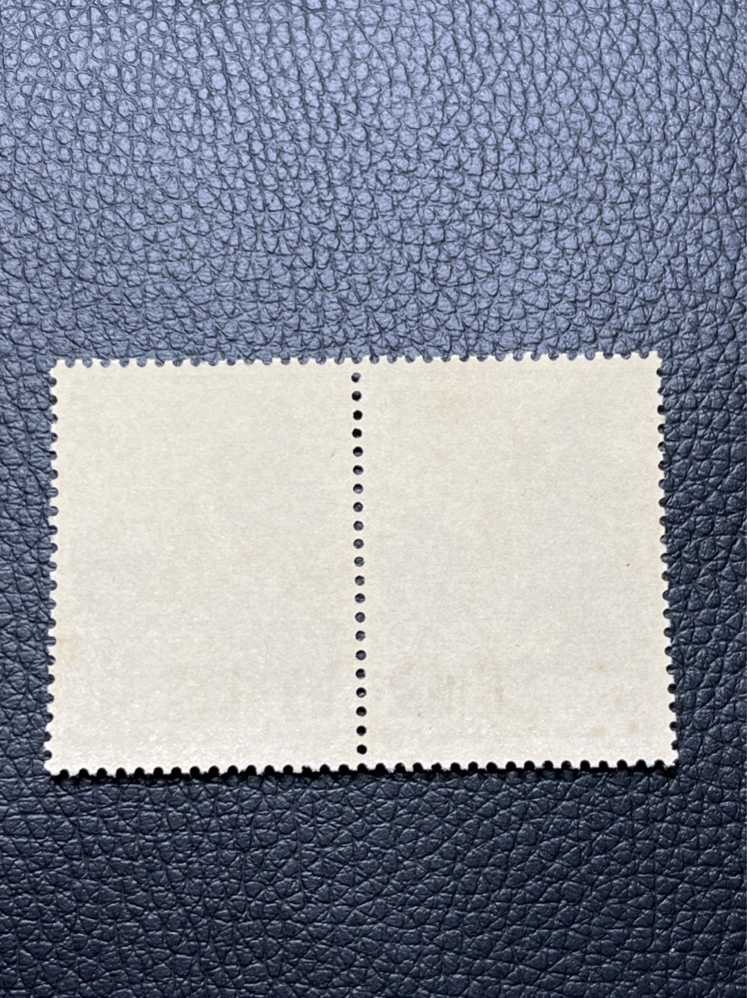 洪涛臻品 精选邮票限时拍卖第七十三期 纪92古科  8-4盖销  2连 极其轻微胶色不均匀别无瑕疵。解放初的经典票，整版撕开，面艳胶白，票挺洁净，齿孔完美，收藏评级两相宜。老纪特的版票资源十分稀缺难寻，机会来临时必须抓住。