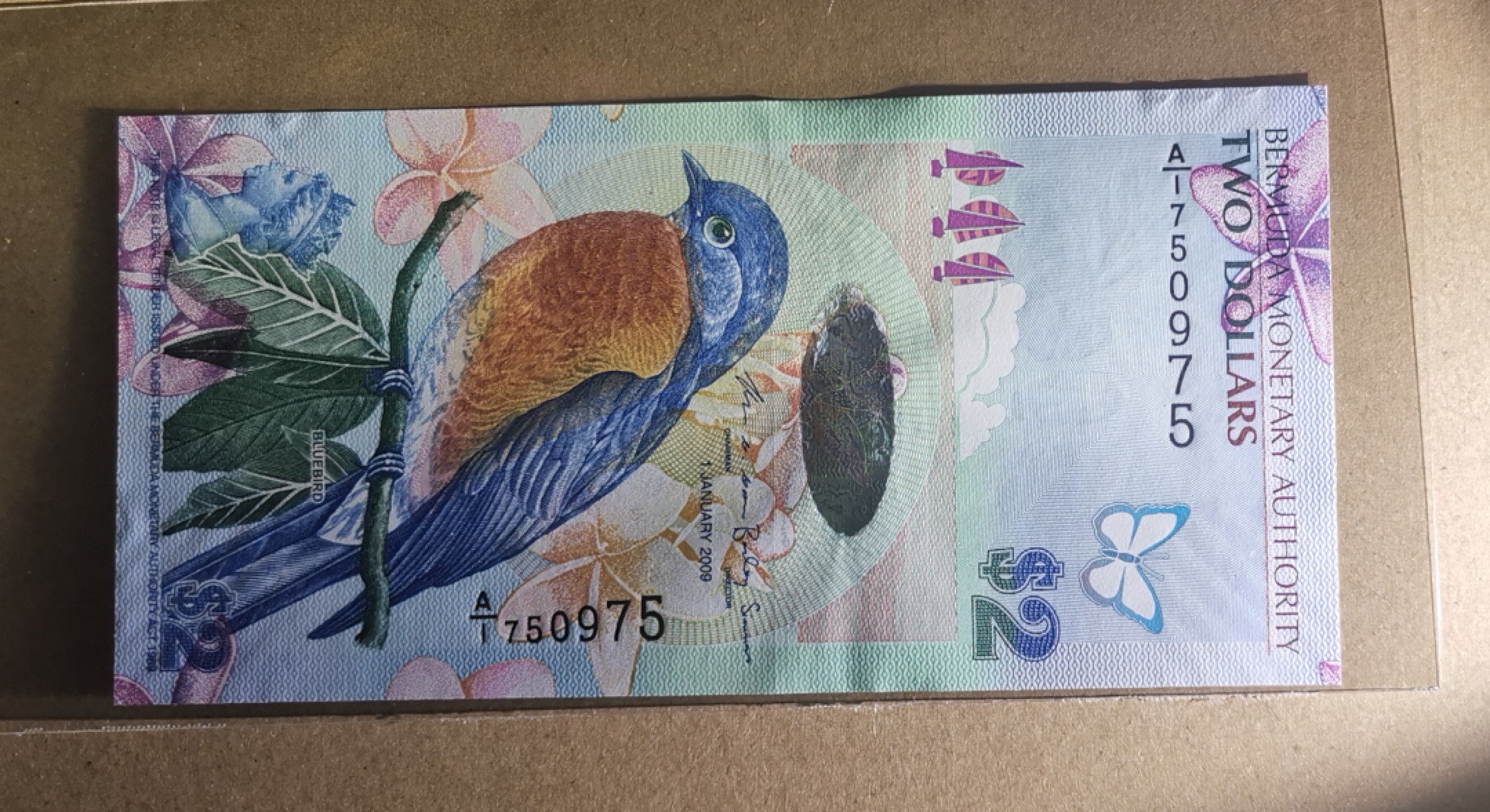 《张总收藏》78期——女王精品 2009年百慕大2元A1冠UNC无4 IBNS世界最佳纸币获奖钞