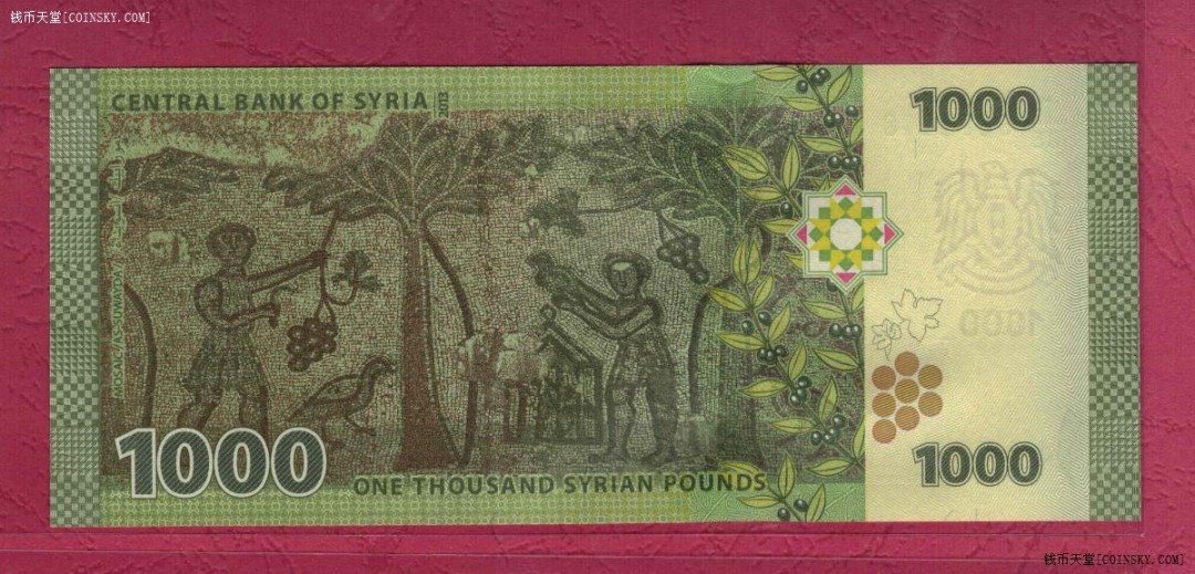 叙利亚2013年(2015年)1000镑 亚洲纸币 实物图 UNC 
