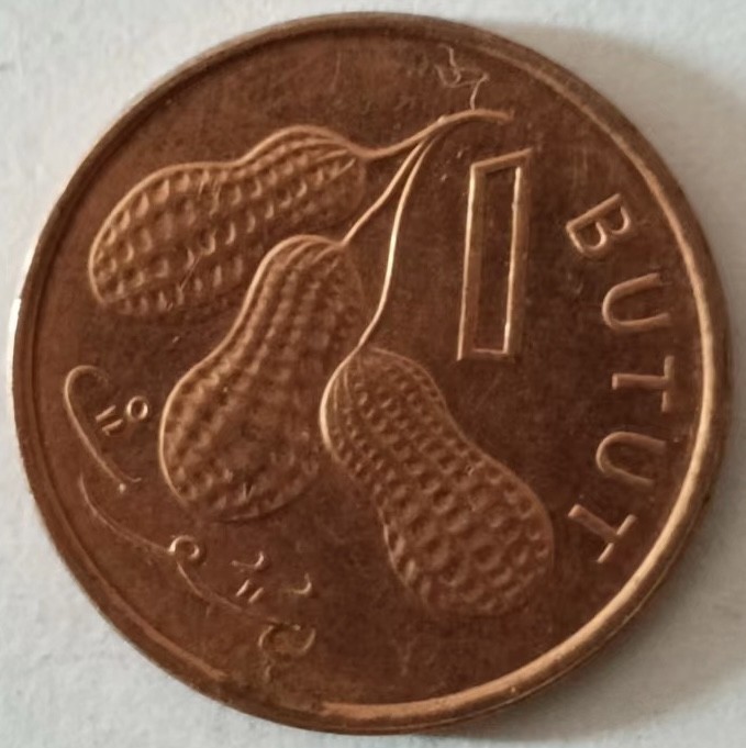 泡泡堂第137期  世界硬币专场（无押金，无佣金，捡漏，全场20包邮，偏远地区除外） 冈比亚一布图