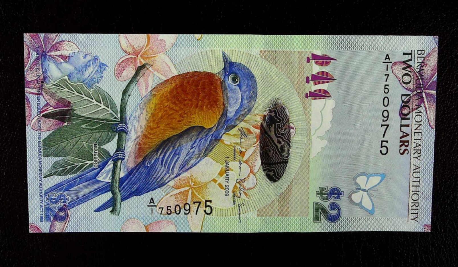 《张总收藏》78期——女王精品 2009年百慕大2元A1冠UNC无4 IBNS世界最佳纸币获奖钞