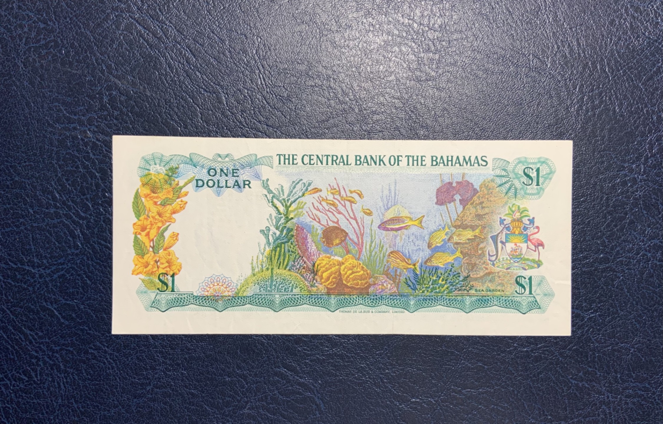 收藏联盟Quantum Auction 第205期拍卖 巴哈马1974年1元 品相如图 b版骑冠较少 彩背热带鱼