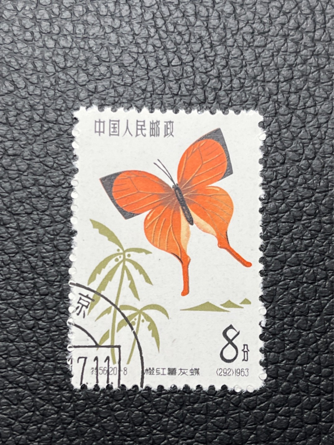 洪涛臻品 精选邮票限时拍卖第七十三期 特56蝴蝶盖销  钢戳，全品 20-8一枚★六珍三俗稀缺货★版撕全品嘎嘎绝，钢戳，面艳胶白，六珍之一，非常受欢迎的品种，新票价格高，盖销全品不要错过 