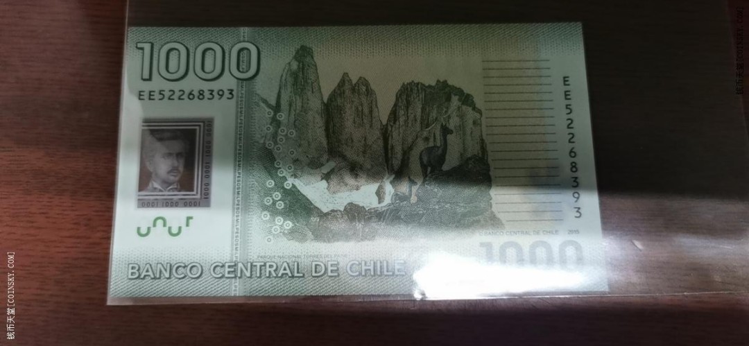 智利2015年1000比索 塑料钞 美洲币 实物图 UNC 