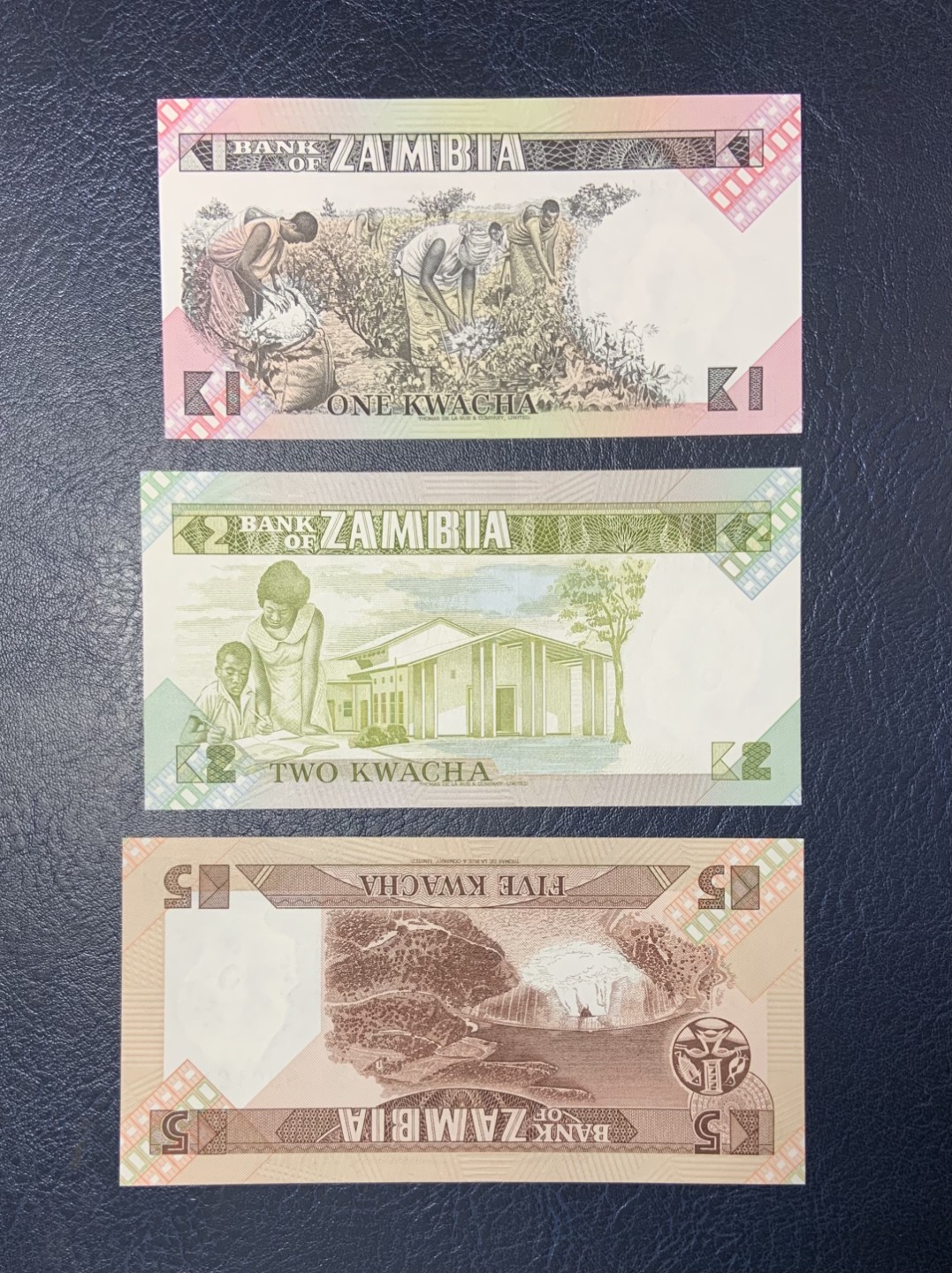 收藏联盟Quantum Auction 第205期拍卖 赞比亚1980-88年1-50克瓦查 品相全新UNC 双面雕刻