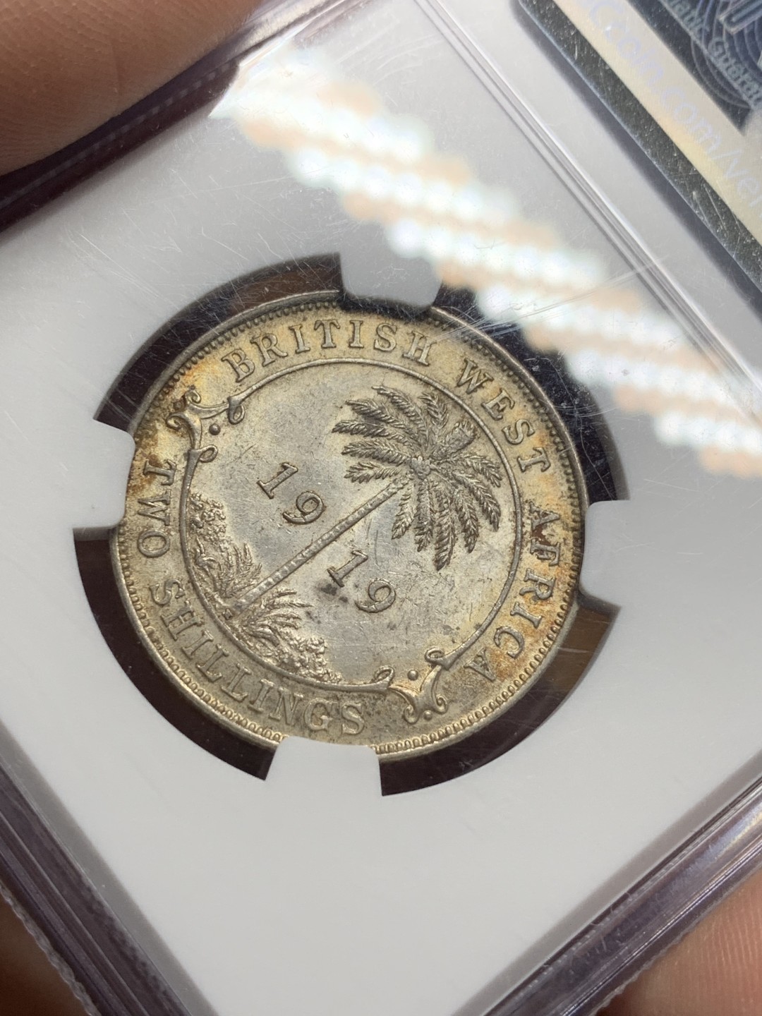 《竞宝斋》第113场-周日，周一 ，2场连拍（全场包邮） NGC-MS61 1919年英属西非2先令银币 不太常见的品种，黄油光MS品