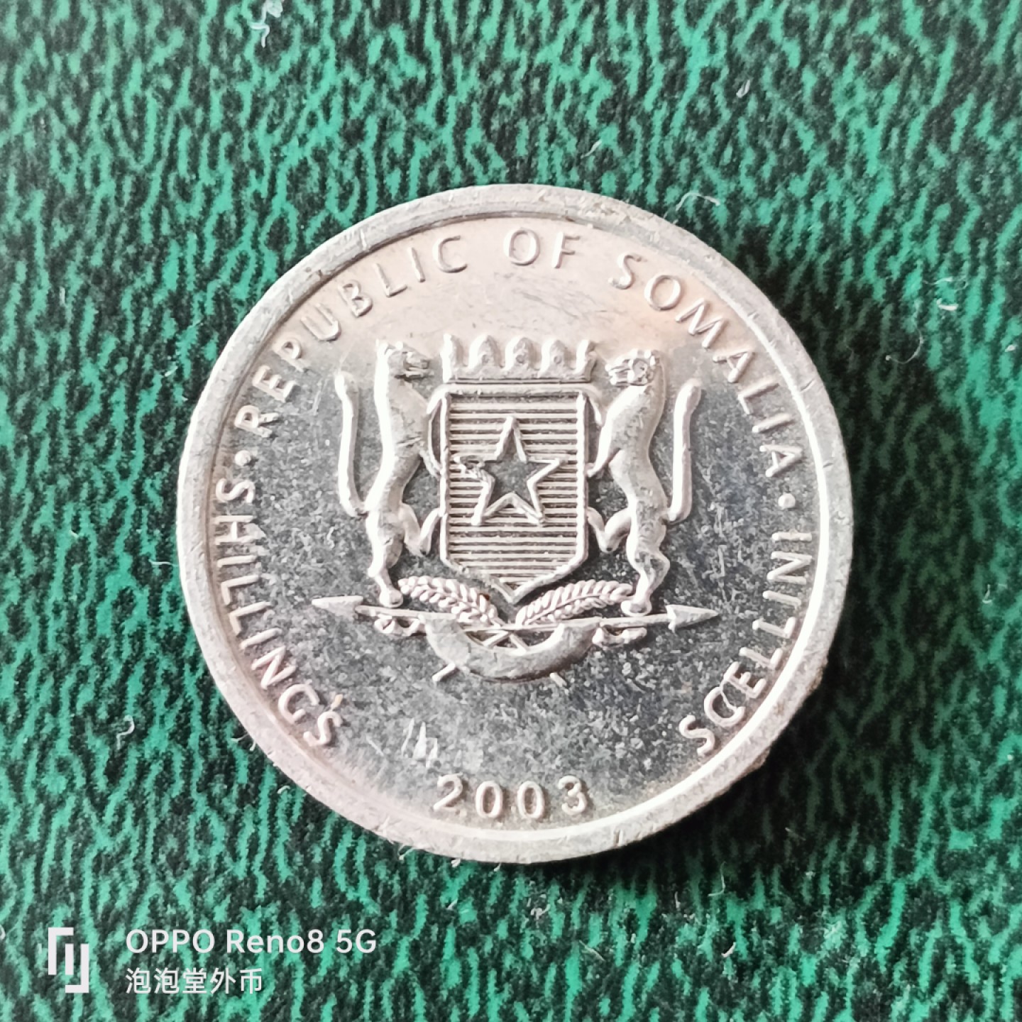 泡泡堂微拍第二十三幕精品硬币捡漏专场👿👿，零佣金，零押金，满二十元包邮 索马里小狗