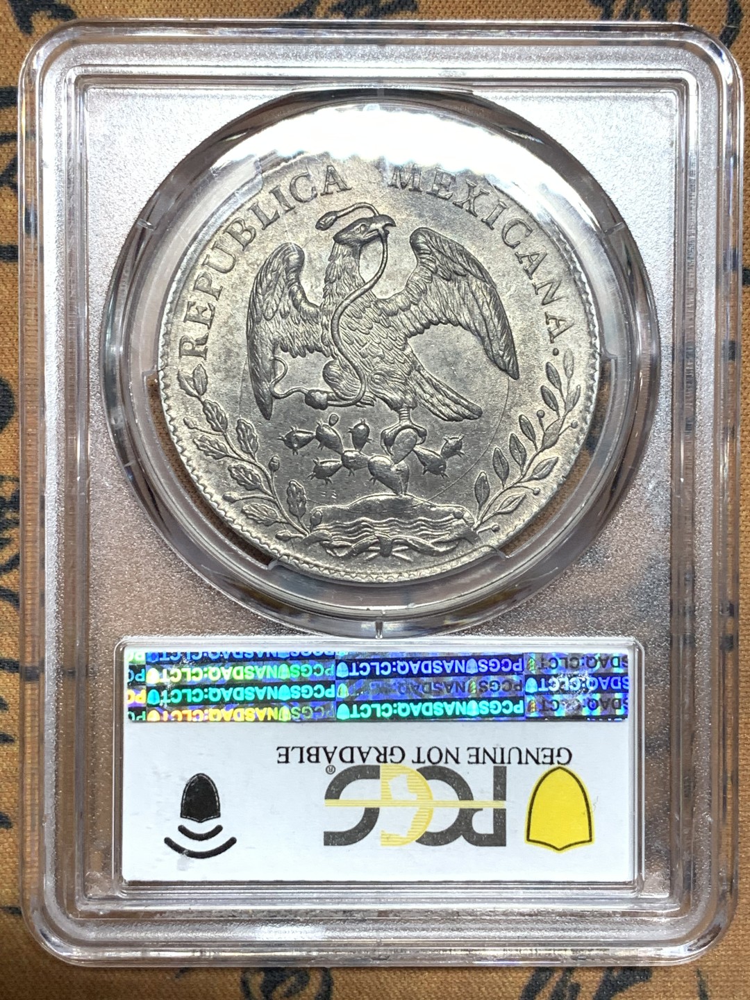 《竞宝斋》第113场-周日，周一 ，2场连拍（全场包邮） 墨西哥 1888年 PCGS AUD 圣路易斯波托西 PI MR版 发财年花边鹰洋