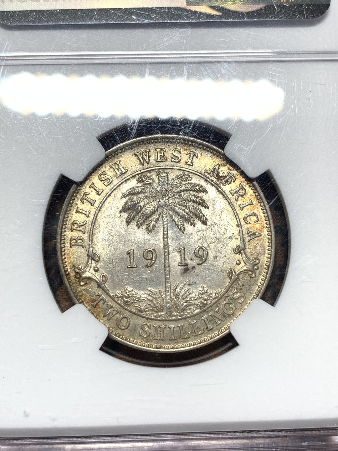 《竞宝斋》第113场-周日，周一 ，2场连拍（全场包邮） NGC-MS61 1919年英属西非2先令银币 不太常见的品种，黄油光MS品