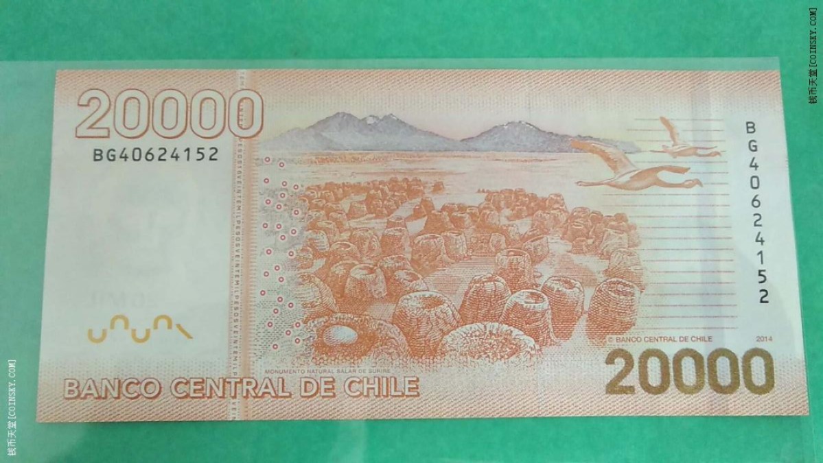 智利2014年20000比索 美洲纸币 实物如图 UNC 