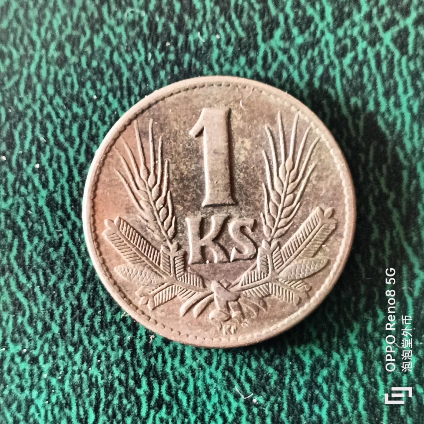 泡泡堂微拍第二十三幕精品硬币捡漏专场👿👿，零佣金，零押金，满二十元包邮 德战斯洛伐克临时政府一克郎