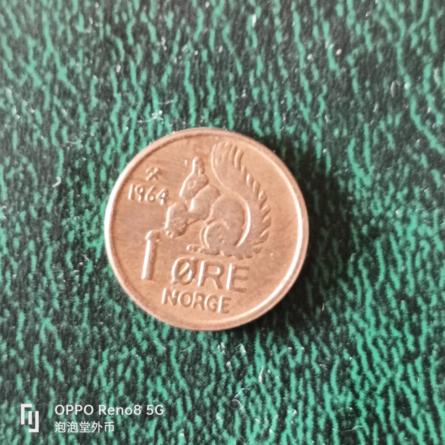 泡泡堂微拍第二十三幕精品硬币捡漏专场👿👿，零佣金，零押金，满二十元包邮 挪威小松鼠一只。