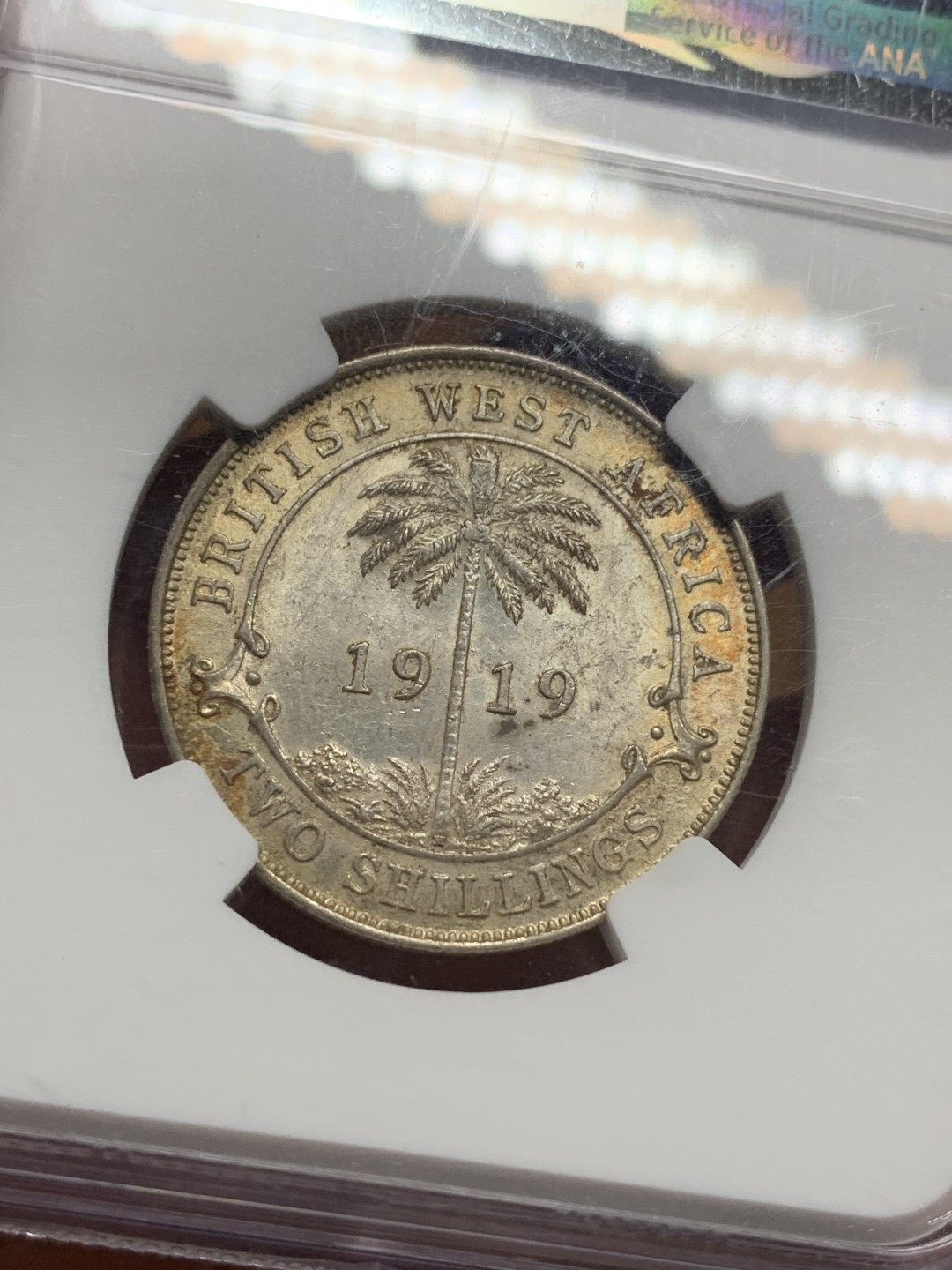 《竞宝斋》第113场-周日，周一 ，2场连拍（全场包邮） NGC-MS61 1919年英属西非2先令银币 不太常见的品种，黄油光MS品