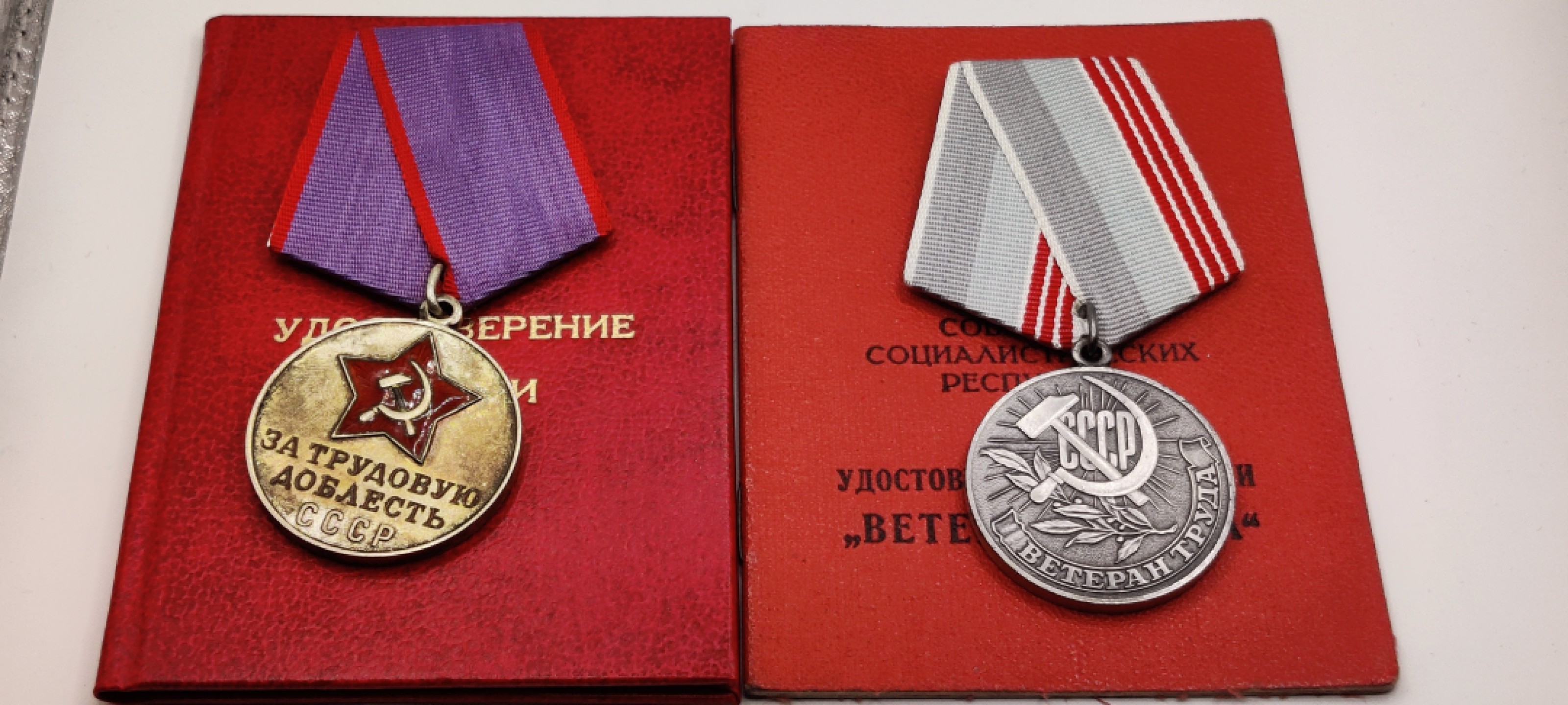 全场0元起拍 第12期 咸鱼国勋章拍卖专场 11月9日（周三）下午6：00开始 苏联退休劳动者/劳动英勇奖章 同一人带证