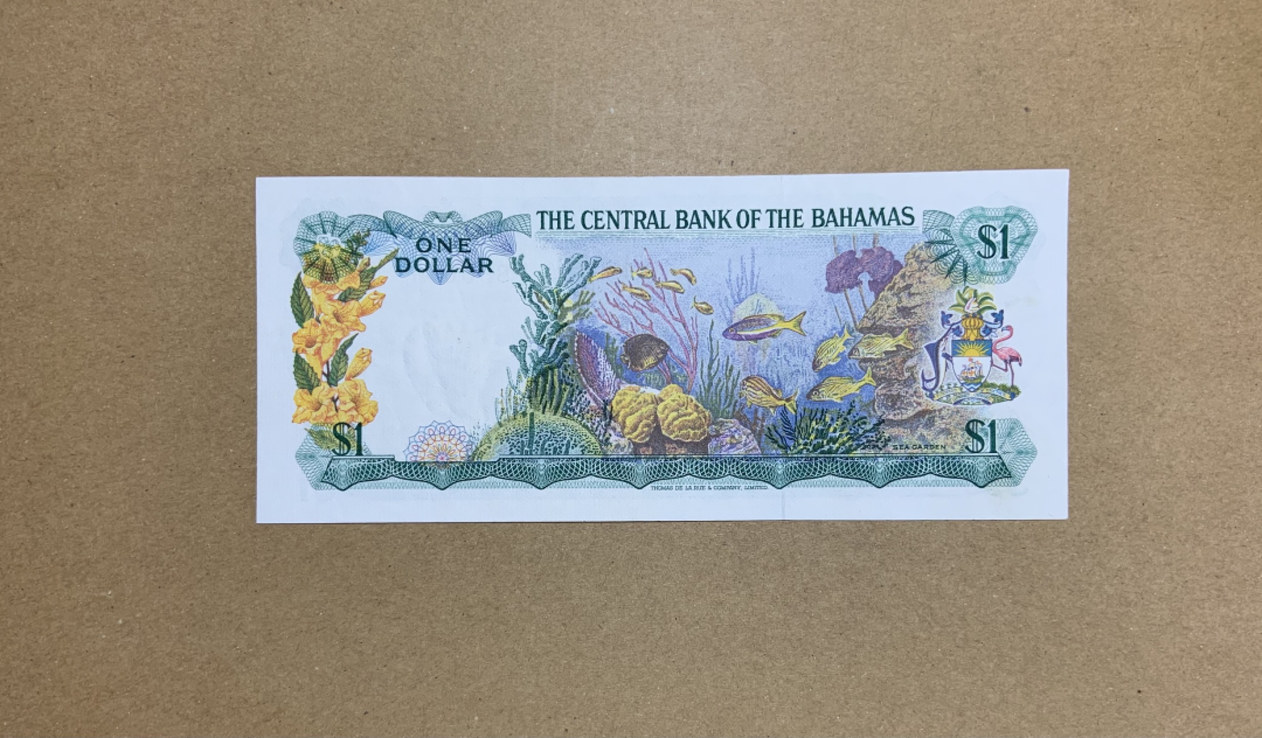 收藏联盟Quantum Auction 第206期拍卖 巴哈马1974年1元 品相AU 巴哈马彩背 热带鱼