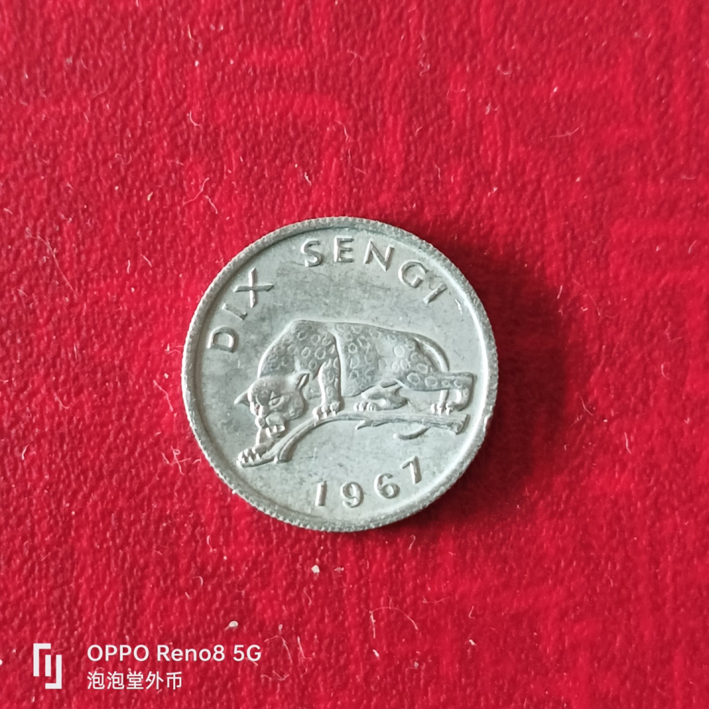 泡泡堂微拍第二十三幕精品硬币捡漏专场👿👿，零佣金，零押金，累计满二十元包邮 刚果67年10s