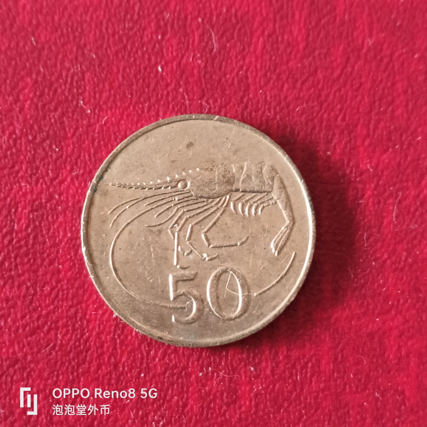 泡泡堂微拍第二十三幕精品硬币捡漏专场👿👿，零佣金，零押金，累计满二十元包邮 冰岛大虾